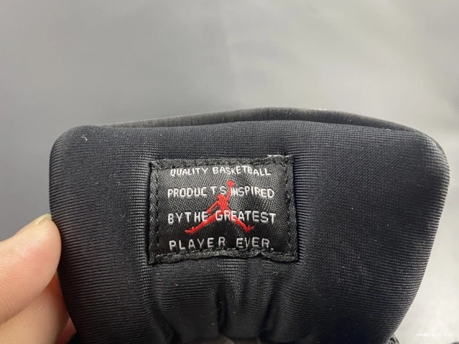 Chep Onekick JORDAN 11 INSTINCT AIR AR0715-010 ANIMAL 0810